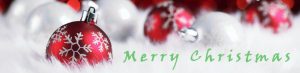 Christmas Header Banner